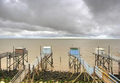 Canton de Villandraut en Gironde : Patrimoine, Nature et Art de Vivre en Sud-Gironde