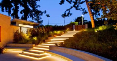 Guide aménagement du jardin