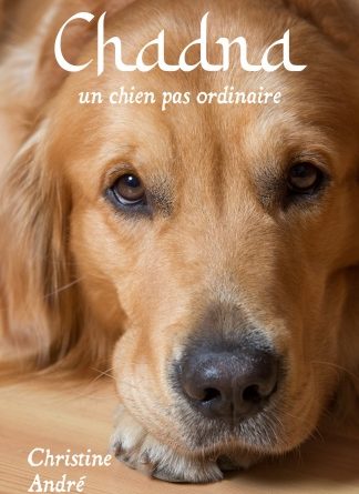 une quête d'amélioration et d'épanouissement